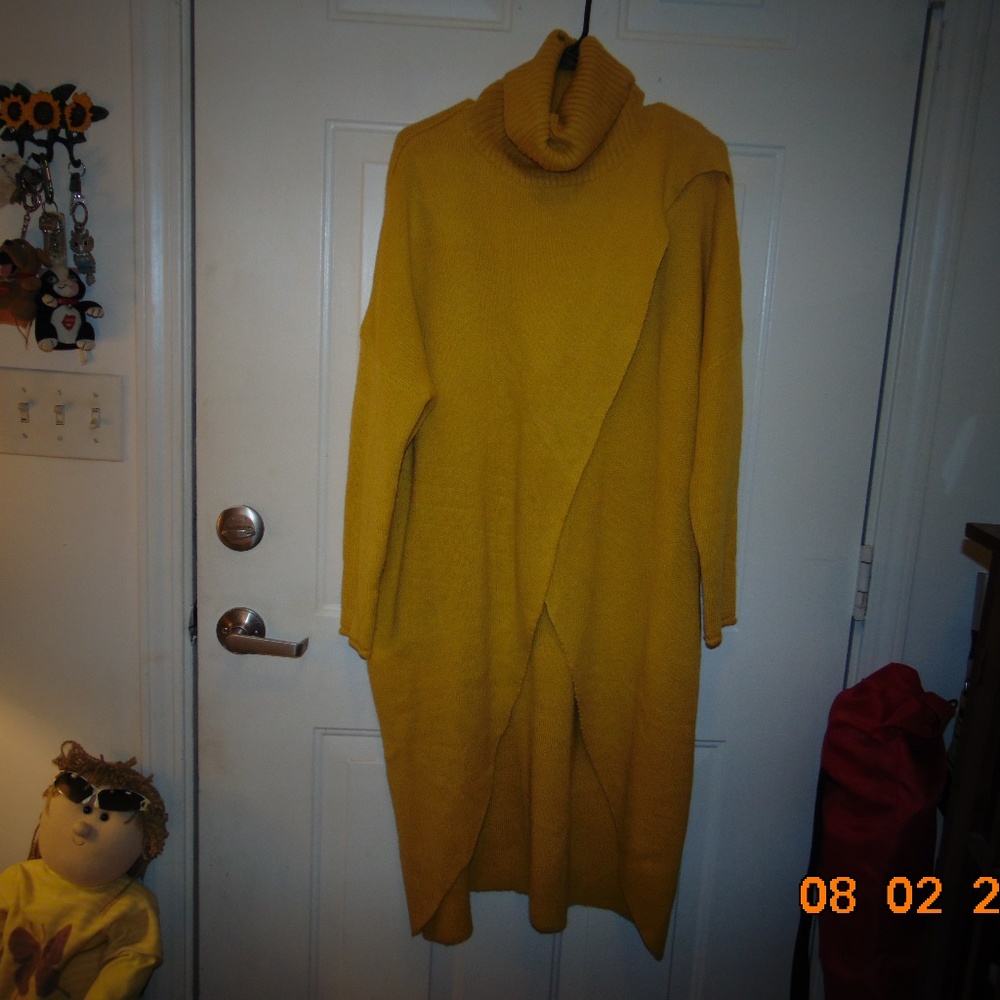 Turtleneck Tunic  sweater
